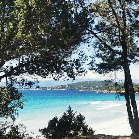 Avec Terasse Vue Appartamento