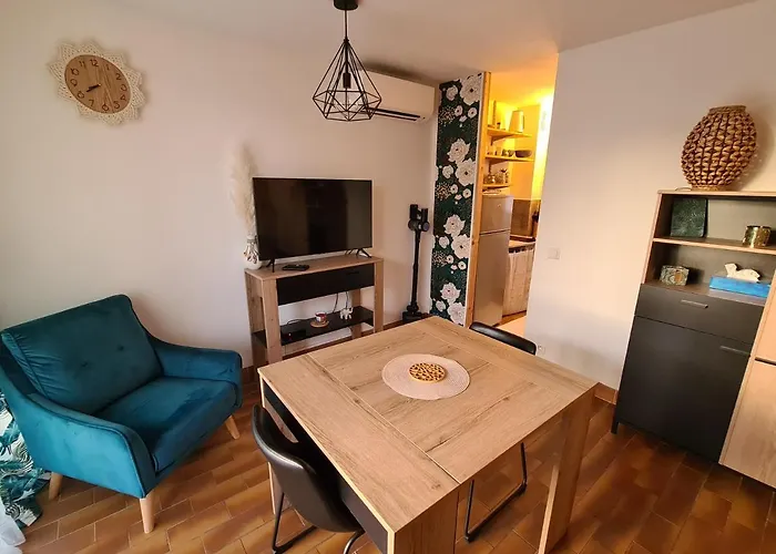 Apartament Avec Terasse Vue *