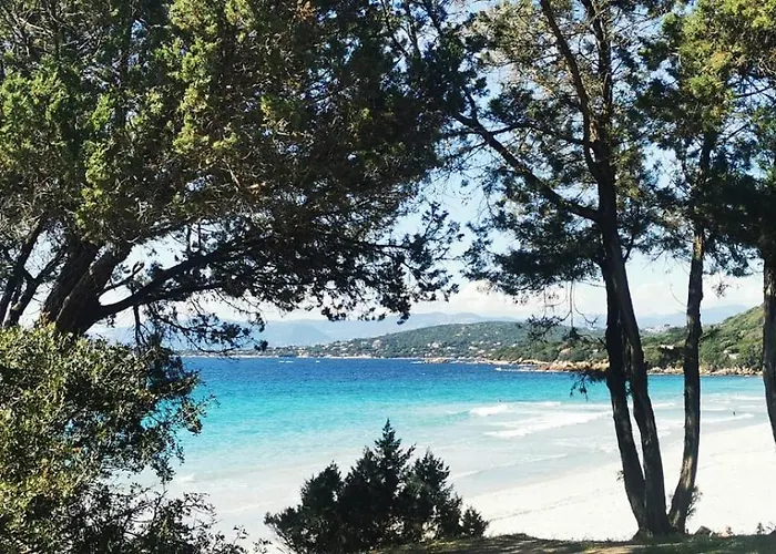 Avec Terasse Vue Apartmán